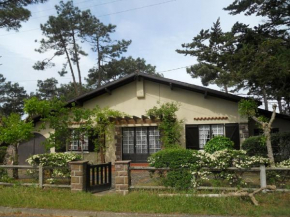 La palombe
